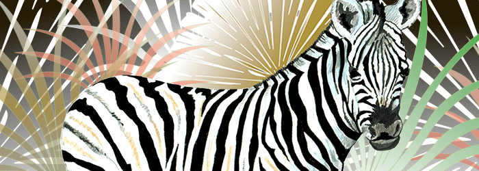 The Zebra Secret Safari Card Zebra in foliage