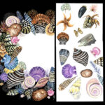 Exotic Shell Collection - Hand Painted Card. Have a Wonderful Day! - Image 3